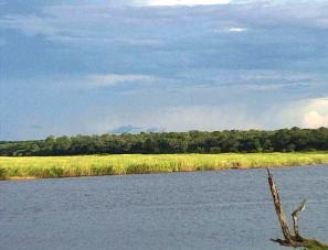 Chobe River